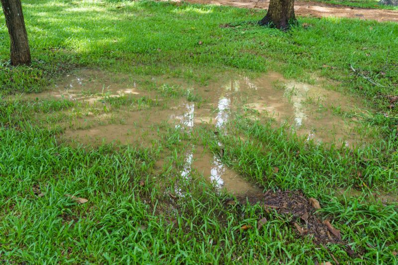 Landscaping Drainage Installation in Birmingham, AL