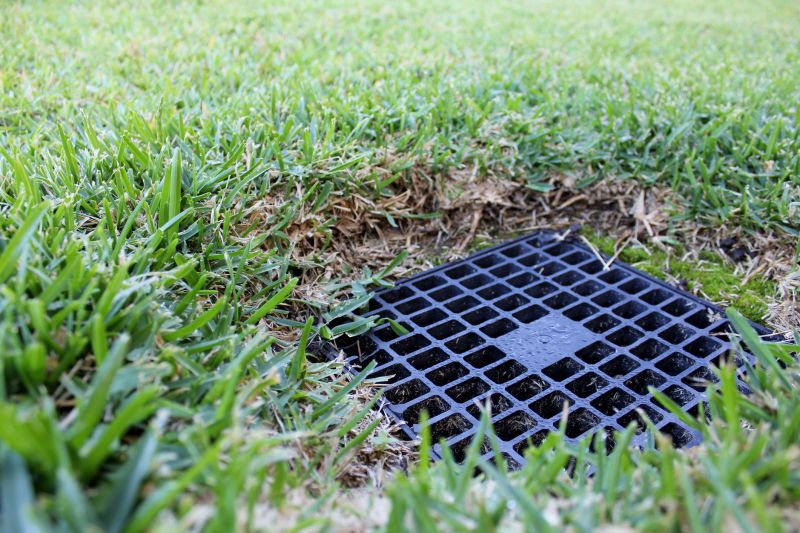 Landscape Drainage in Tuscaloosa, AL