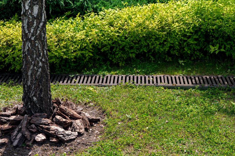 Lawn Drainage in Birmingham, AL