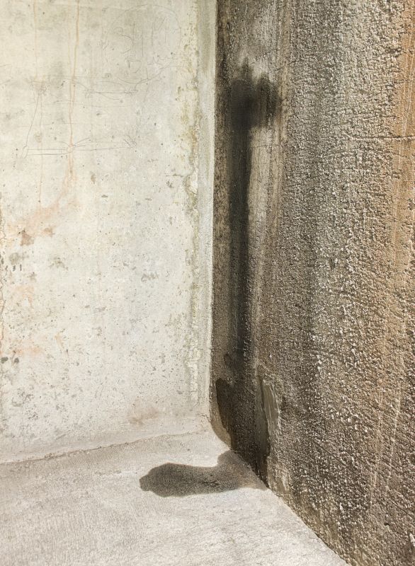 Leaking Basement Repair in Tuscaloosa, AL