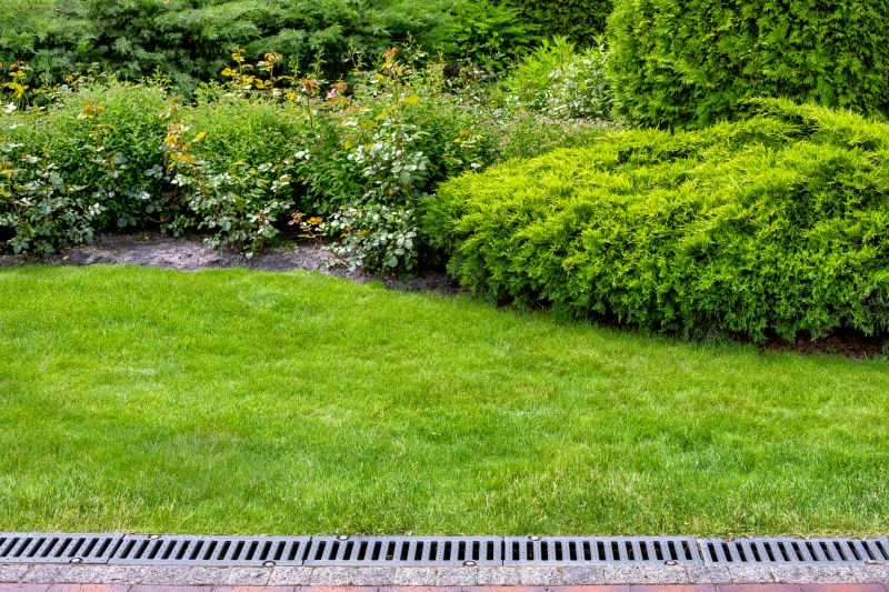 Yard Drainage Improvement in Tuscaloosa, AL